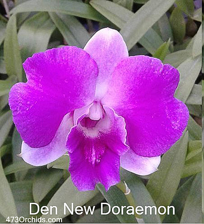 Den New Doraemon