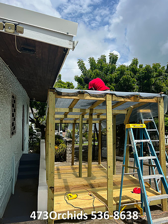Shade House - 2022  07 26 - 0002