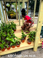 Shade House - 2022  07 26 - 0007