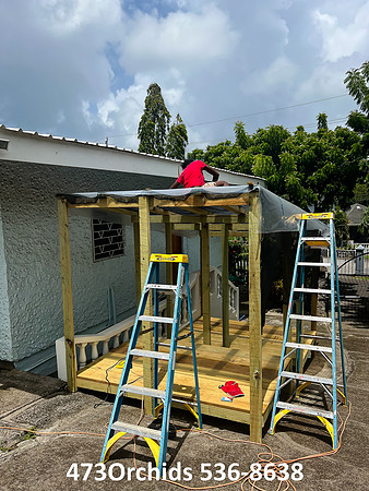 Shade House - 2022  07 26 - 0004