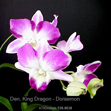 Den King Dragon - Doraemon