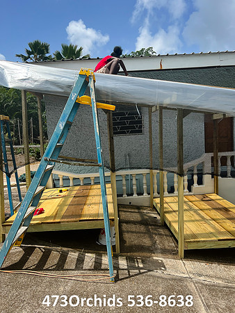 Shade House - 2022  07 26 - 0006